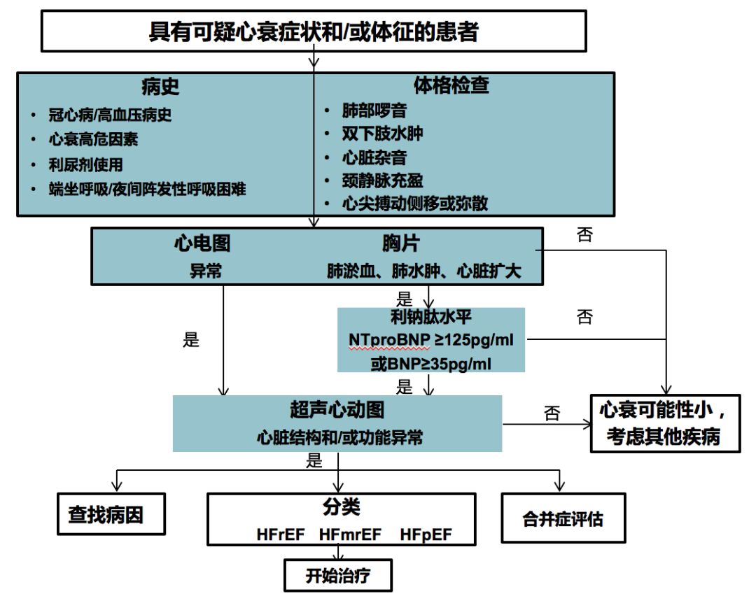 病例分享苑可心缺血性心肌病一例