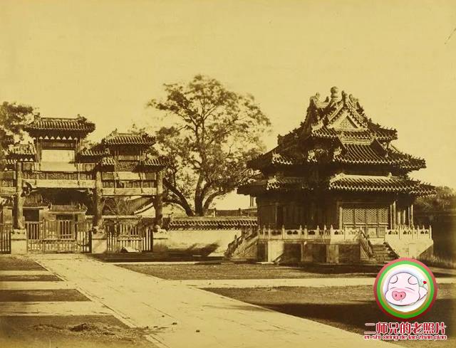文章配图-2
