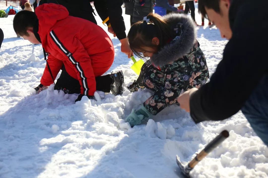 金凤区亲子冰雪趣味运动会圆满举行,精彩活动嗨爆全场