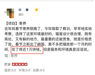 “春节,我回村了,把猫送去469元一晚的总统套房”