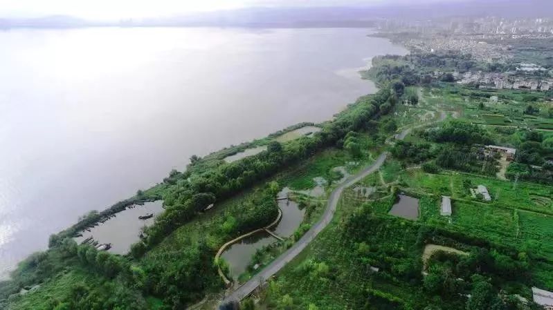 大理洱海生态廊道试运行,欢迎来打卡!