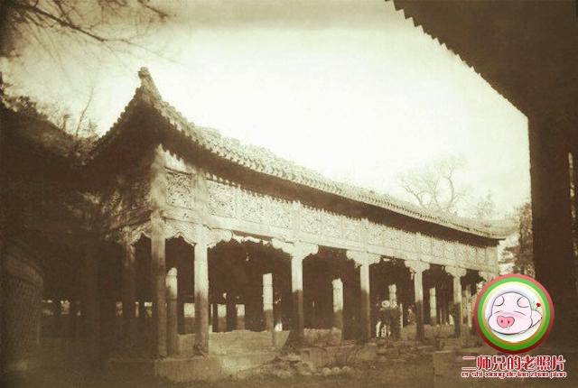 文章配图-11