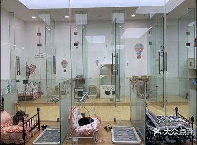 “春节,我回村了,把猫送去469元一晚的总统套房”