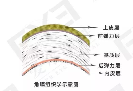 做眼睛近视手术的原理_做近视手术前必须要做眼部检查,医生根据检查的结果,评估你是否适合(3)