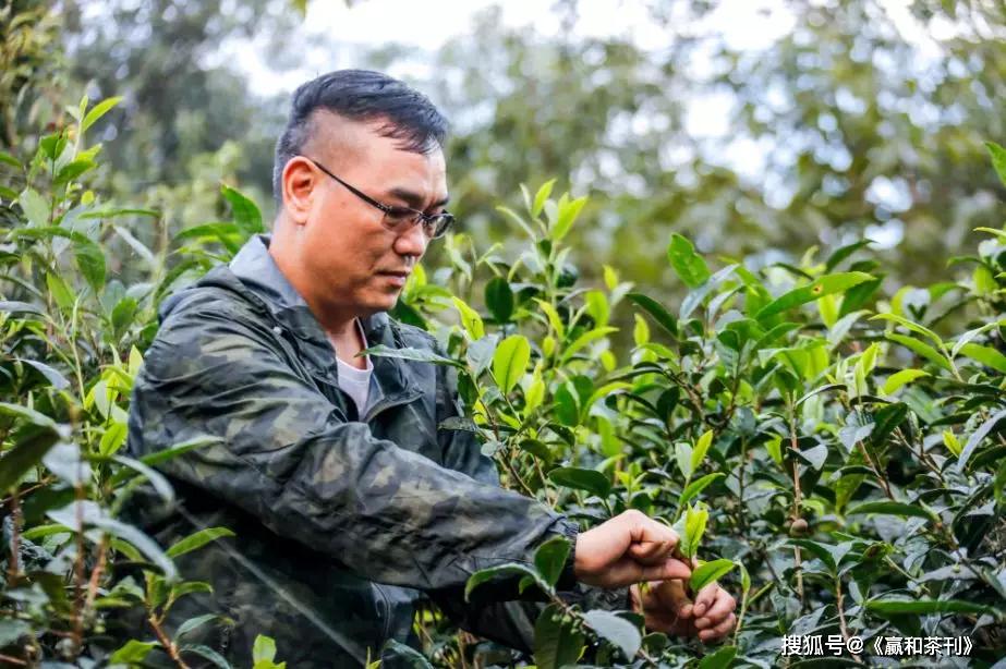 【盛典】赢和2019中国茶行业影响力领袖茶人-邓国_普洱