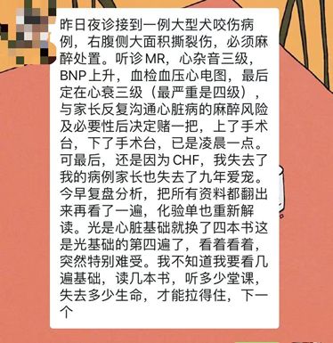 “春节,我回村了,把猫送去469元一晚的总统套房”