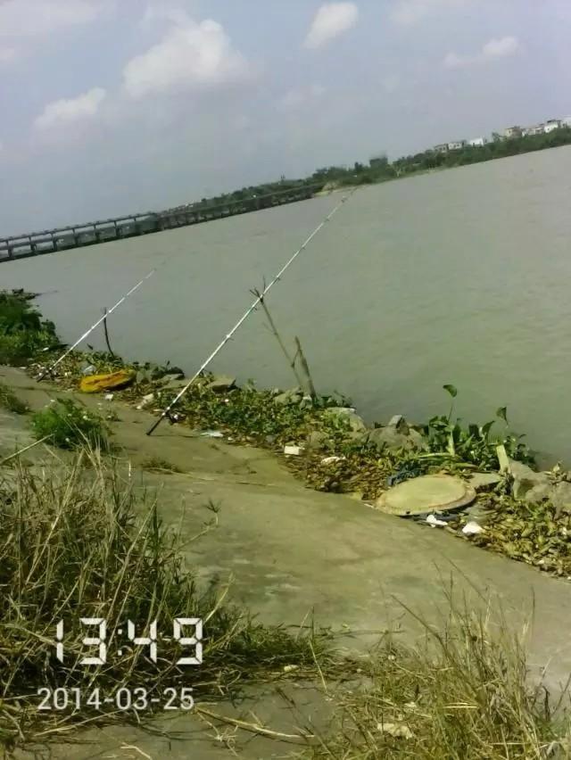 9553df3de13144e696515a5d194e4598.jpeg