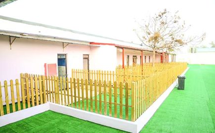 “春节,我回村了,把猫送去469元一晚的总统套房”