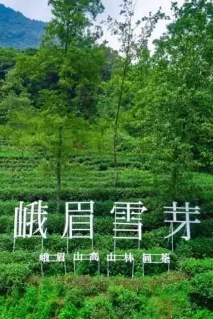 峨眉山市有多少人口