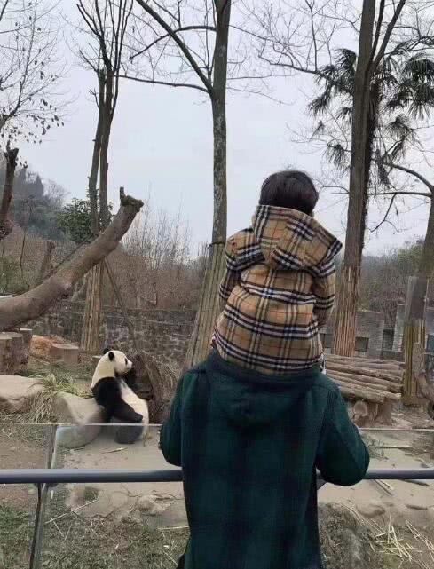 粉丝晒出黄晓明与小海绵同框照片,将小海绵扛