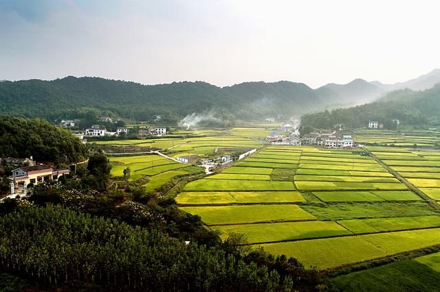 韶山市杨林乡新春游子返乡喜谈家乡变化