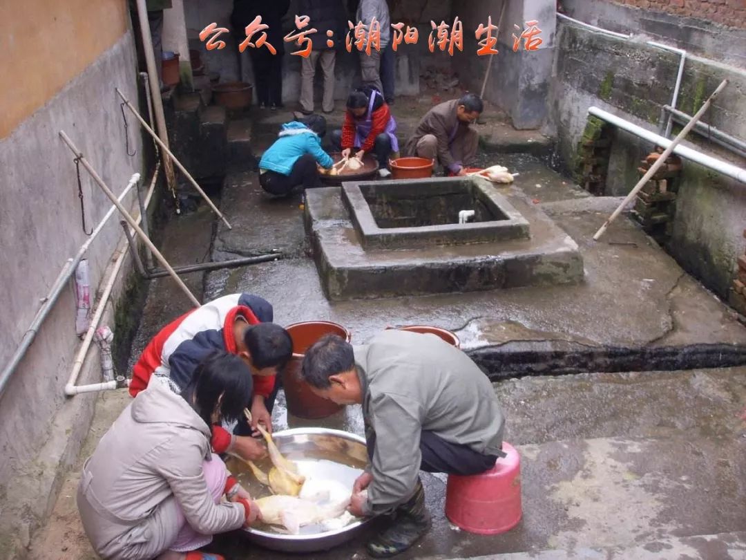 人口回潮_人口普查