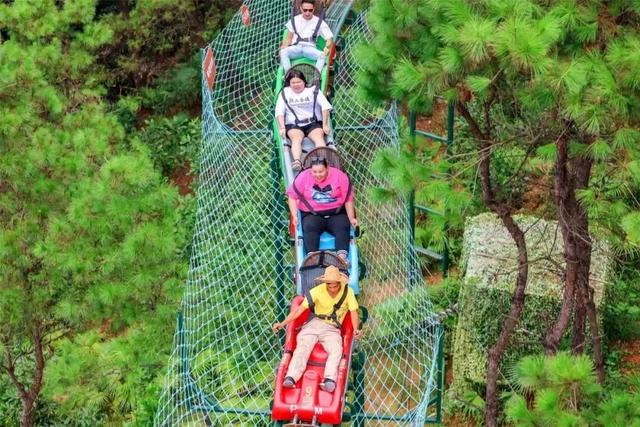 高明10条精品旅游线路火热出炉,吃喝玩乐全都有!