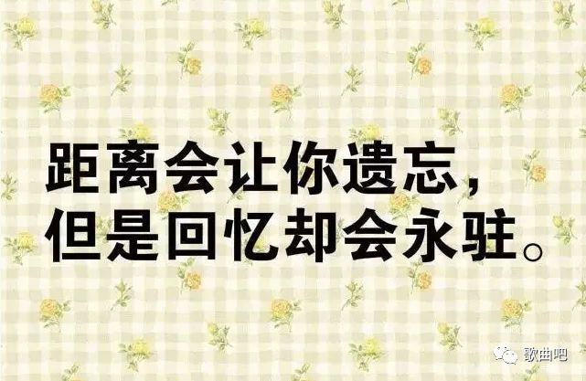 歌曲谱茫茫人海我遇见了你_茫茫人海遇见了你(3)