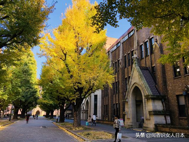 日本经济发达经济总量居世界_日本经济(2)