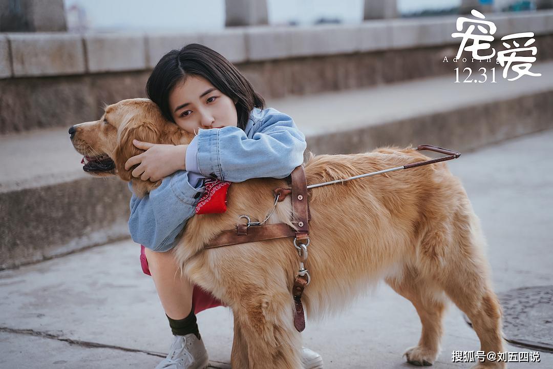 我只想给你给你【宠爱】，这算不算不算爱？