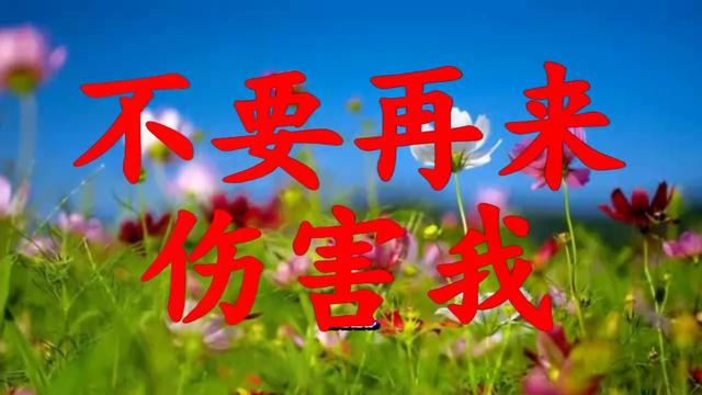 孙露不要再来伤害我