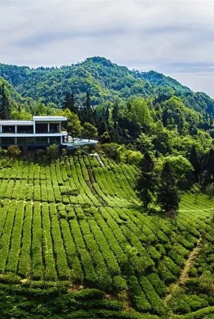 峨眉山市有多少人口(3)