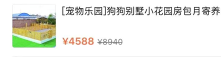 “春节,我回村了,把猫送去469元一晚的总统套房”