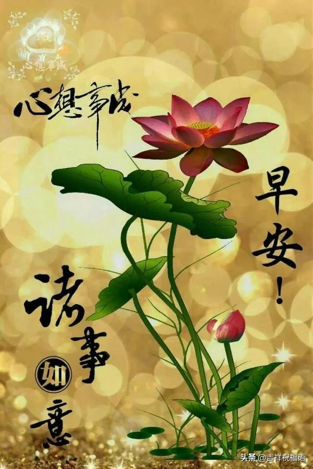 什么才是人世间最珍贵的东西 f580ad6f07c5448794574812ef144919.jpeg