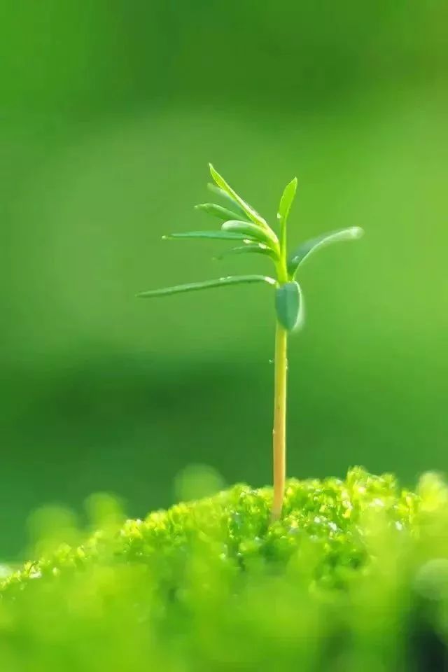 f7d85337f33c44bd9e7a919e5d08030d.jpeg