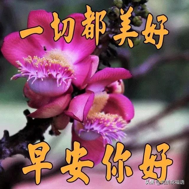 f9aa1dbf499f4a199f797c587a178a7a.jpeg
