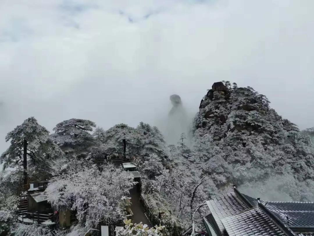 如果说, 故宫的深宫雪景惊艳世人, 那么三清山的雪景也是堪称仙境!