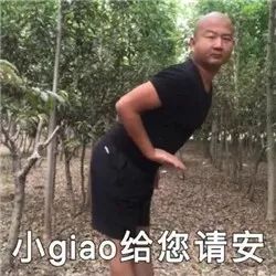 giao哥成功地成为了沙雕网友心中土味文化的代言人虽然不知道他到底在