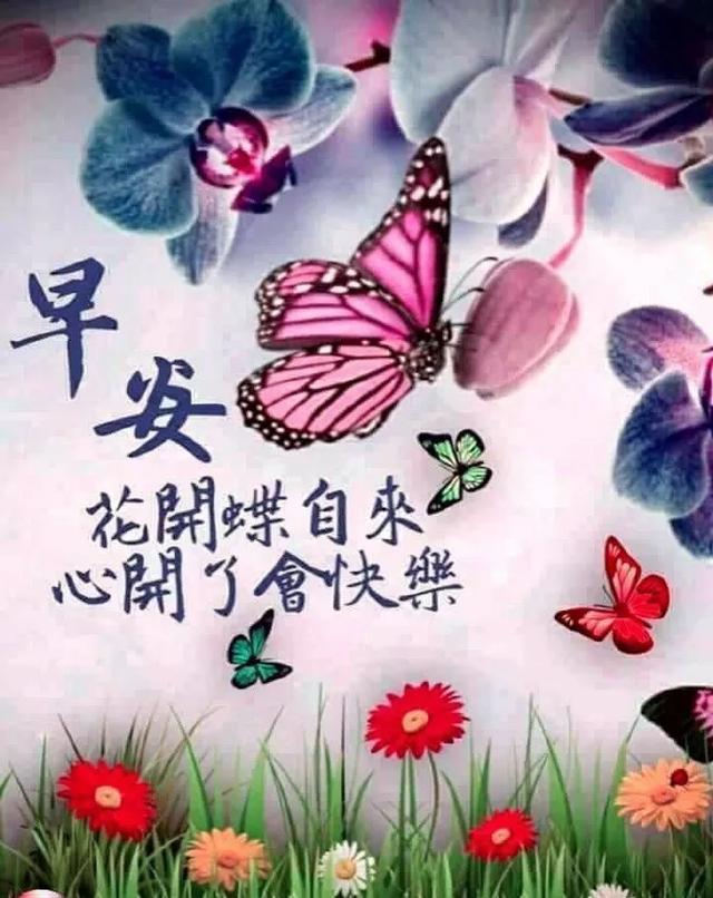 简单的生活从早上开始 12aaa621ae4646c38c68bc75f4be2c59.jpeg