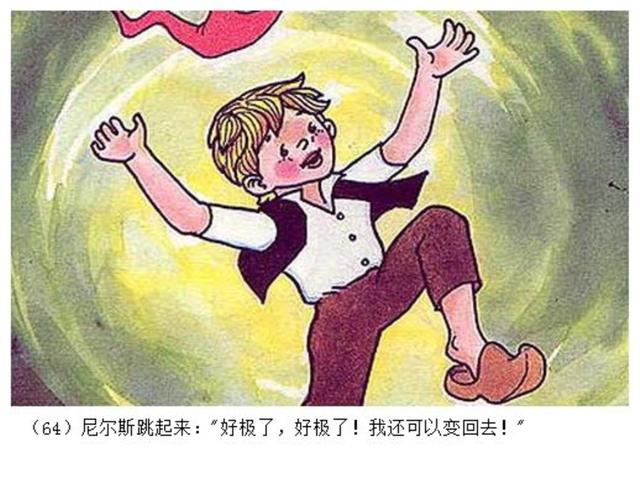 经典动画片尼尔斯骑鹅旅行记连环画二