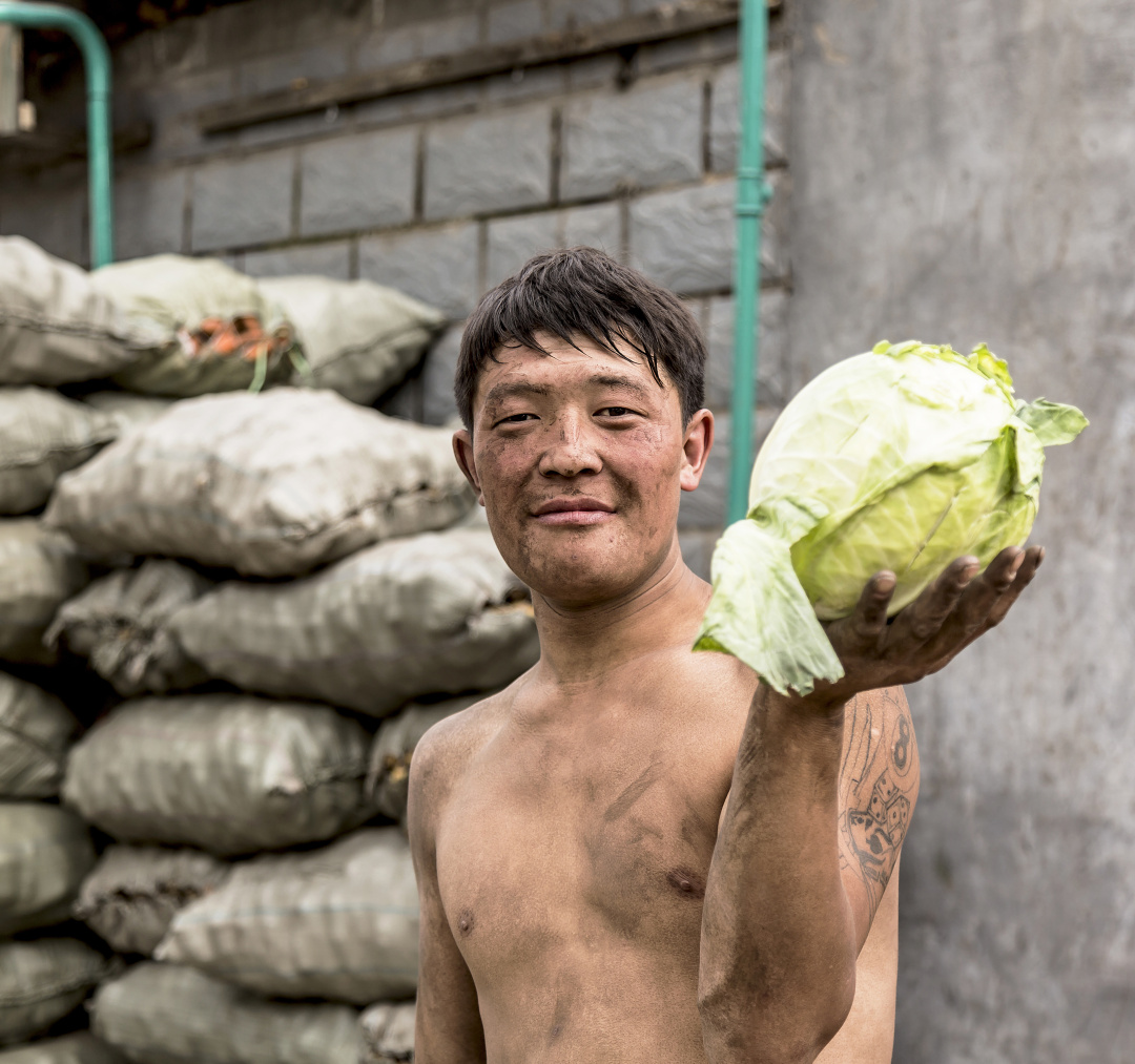 蒙古国发展农业为什么这么难？| 地球知识局