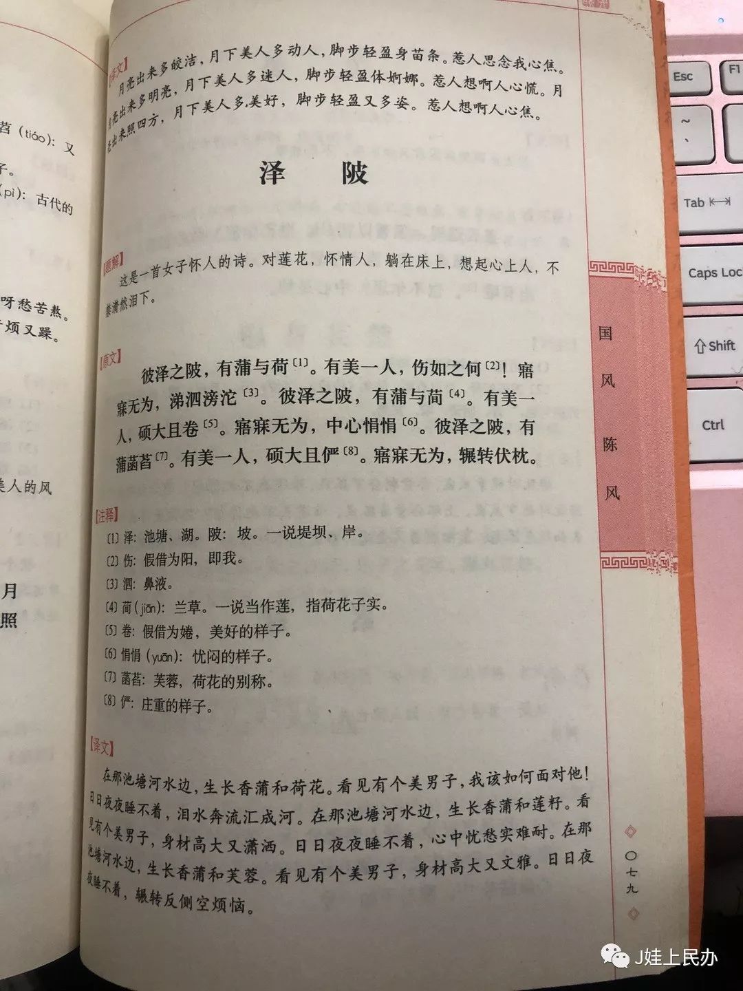 寒假背诗经泽陂打卡