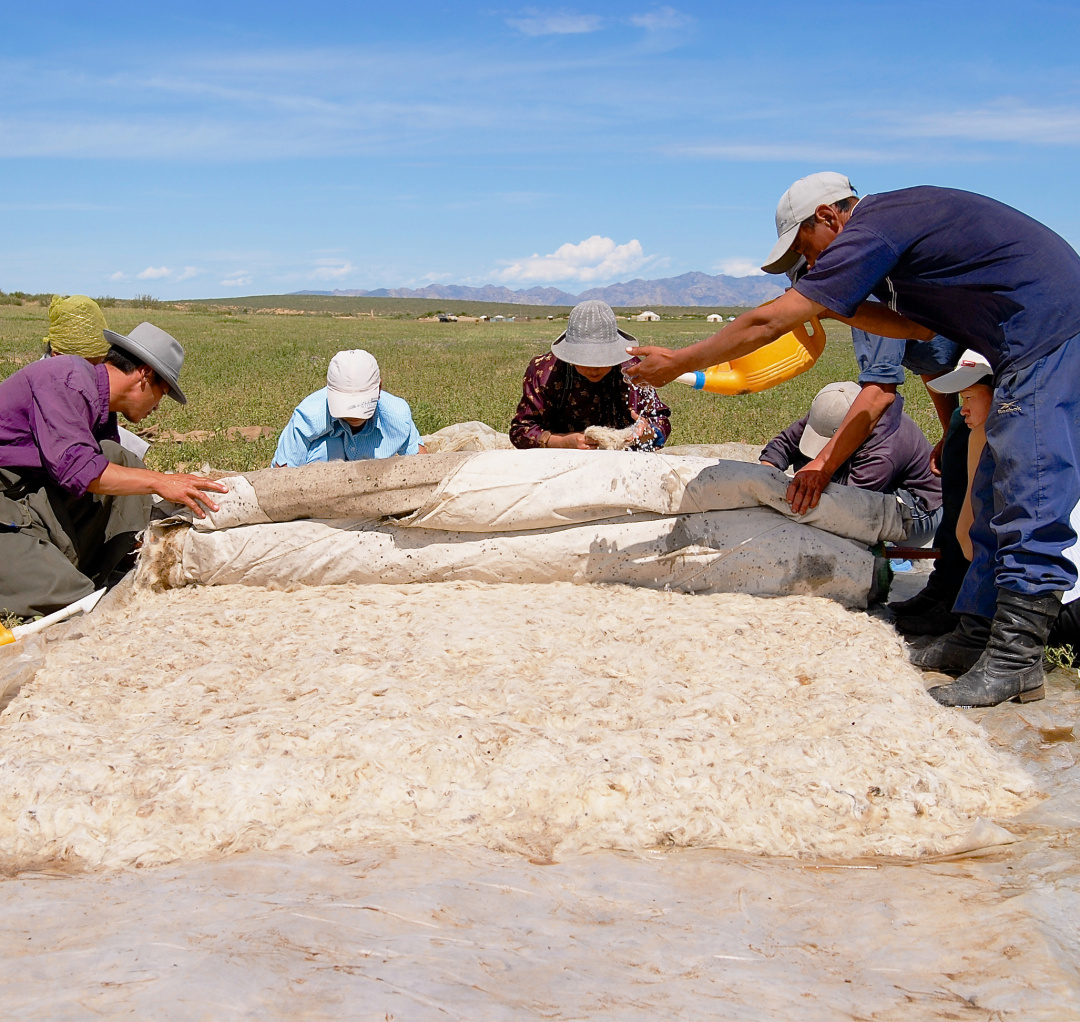 蒙古国发展农业为什么这么难？| 地球知识局