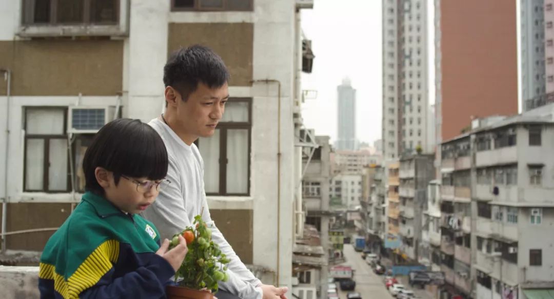 大爷大妈们，在天台上活成了李子柒