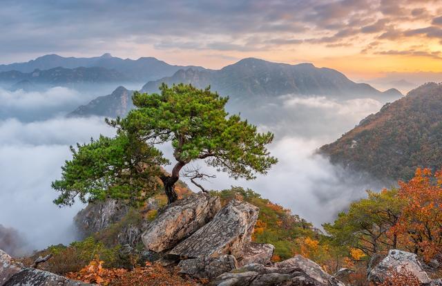 碧山乡人口_山乡巨变连环画(3)