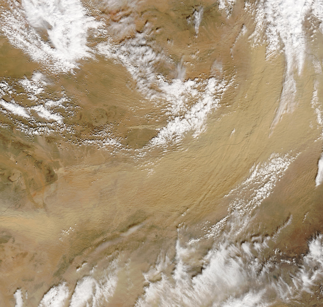 蒙古国发展农业为什么这么难？| 地球知识局