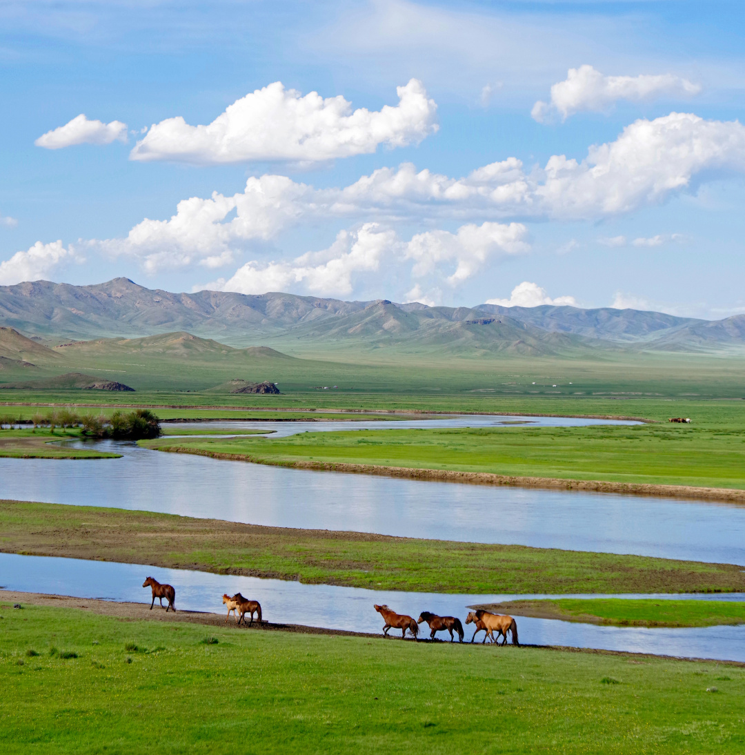 蒙古国发展农业为什么这么难？| 地球知识局