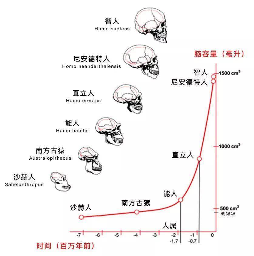 万类龙人口_人口普查(3)