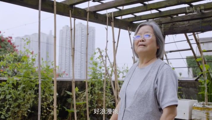 大爷大妈们，在天台上活成了李子柒