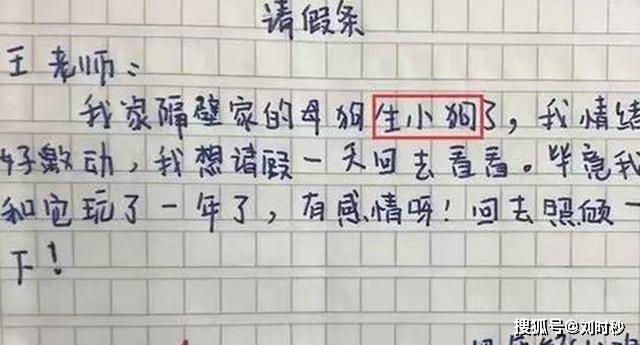 小学生爆笑请假条，小小年纪就知道贿赂人？网友：老师是这么容易被收买的吗_王猛