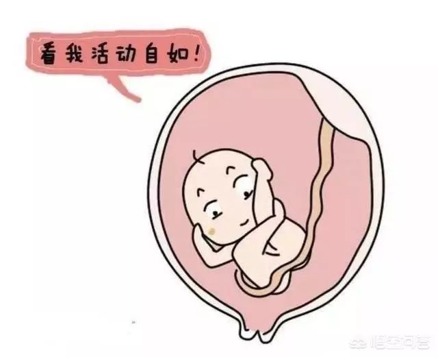 产前产后护理■胎儿在哪个月份胎位就固定了，胎位不正怎么办？
