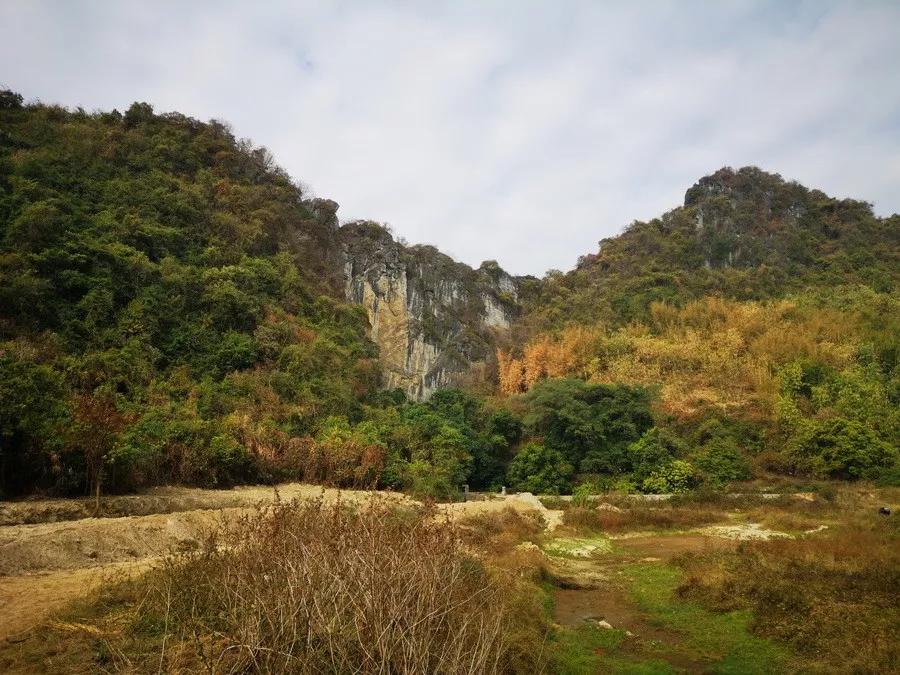 俞莹:英石雅集拜坡翁