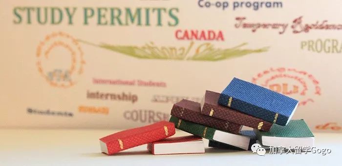 重磅利好!2月1日起海外中国公民实现护照全球