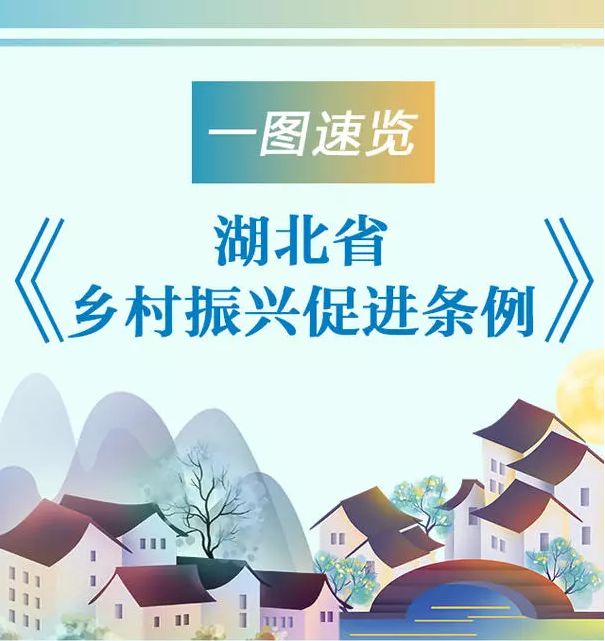 《条例》从法规制度层面搭建乡村振兴的"四梁八柱,成为全国首部促进