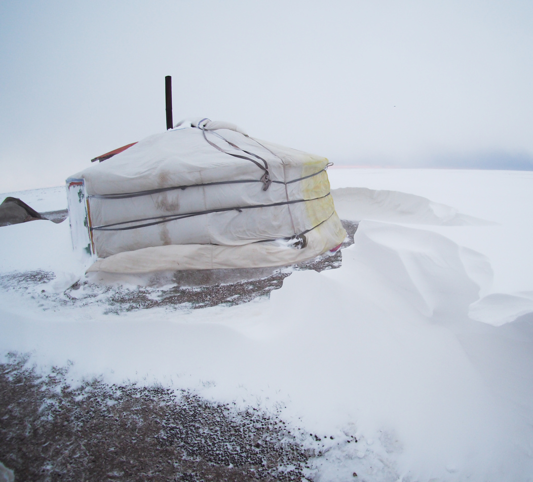 蒙古国发展农业为什么这么难？| 地球知识局