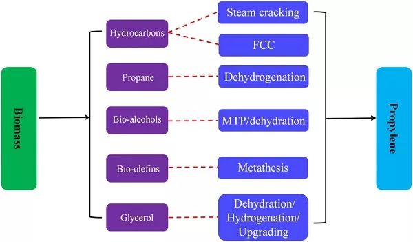 动物生物化学gdp结构_全效免疫系统 海洋所受邀撰写对虾免疫学研究综述(2)