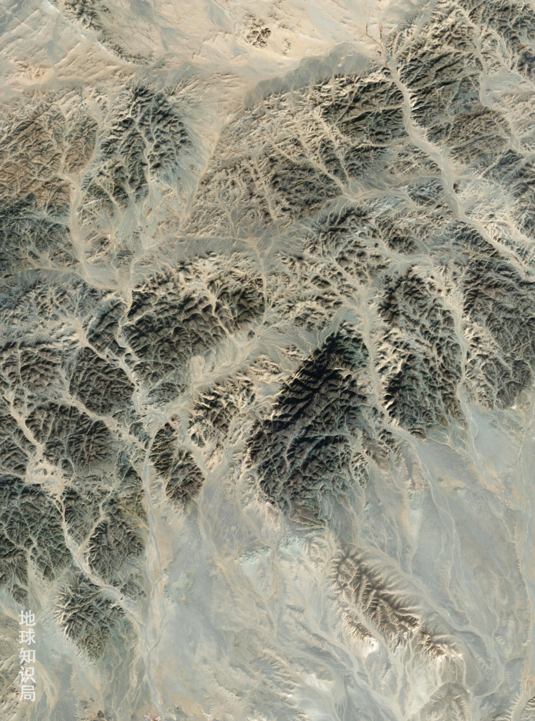 蒙古国发展农业为什么这么难？| 地球知识局