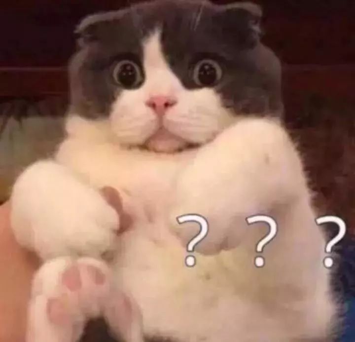 第一次去北方婆婆家吃饭，结果出人意料（图文）