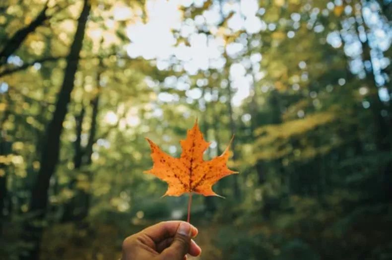 不再去打扰你了各自安好 8fa54f2f10264671a3b3ee65b5eea6ee.jpeg