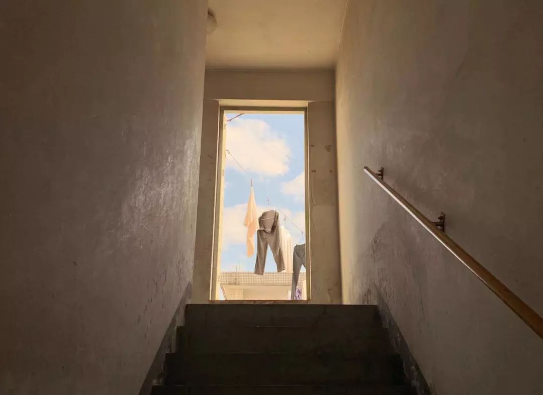 大爷大妈们，在天台上活成了李子柒